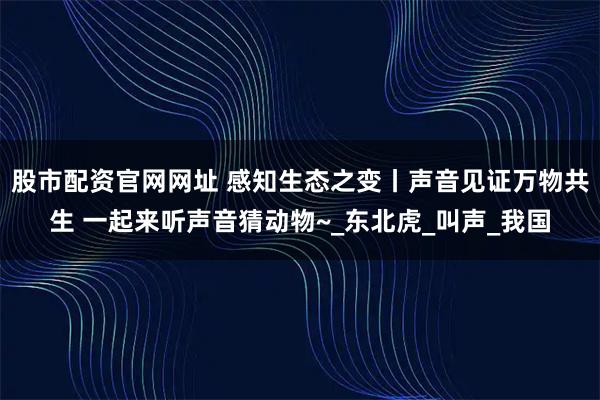 股市配资官网网址 感知生态之变丨声音见证万物共生 一起来听声音猜动物~_东北虎_叫声_我国
